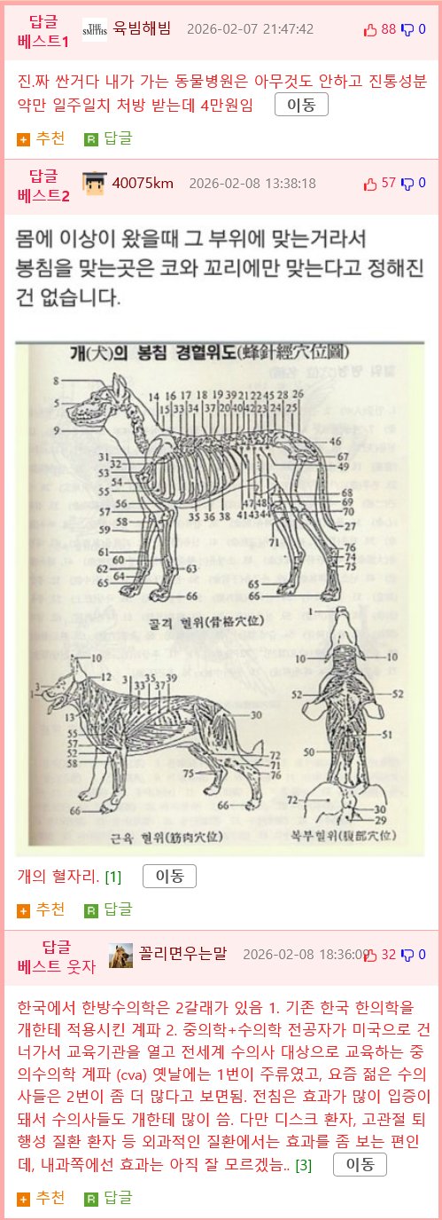 몸이 불편한 댕댕이를 위해 침술 놓는 병원
