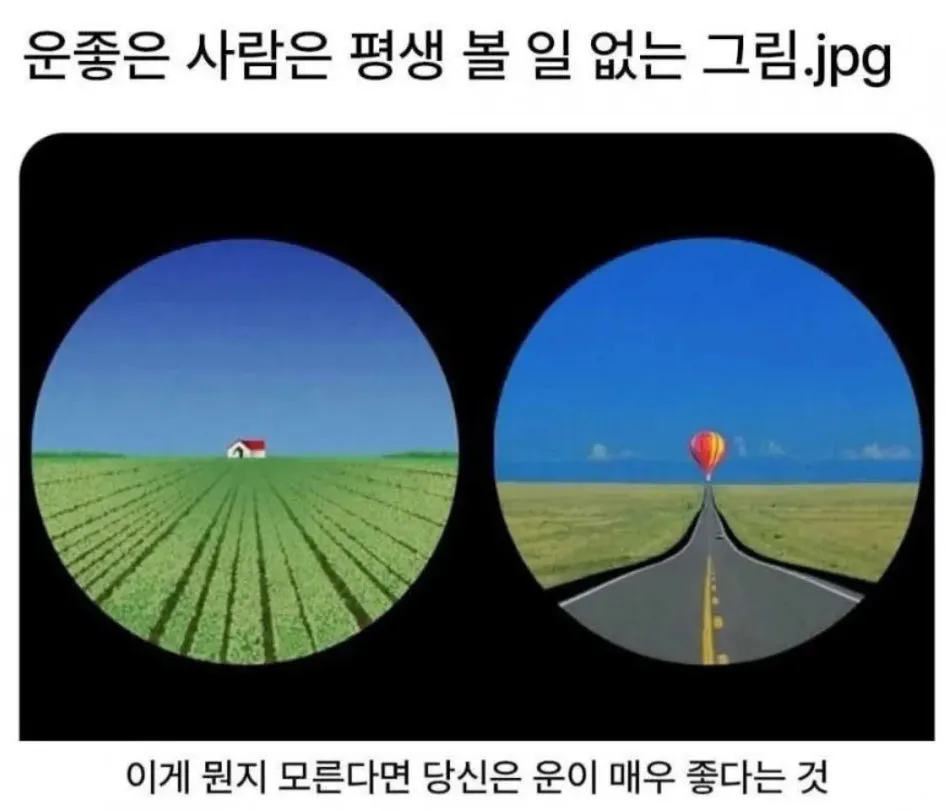 운좋은 사람은 평생 볼 일 없는 그림