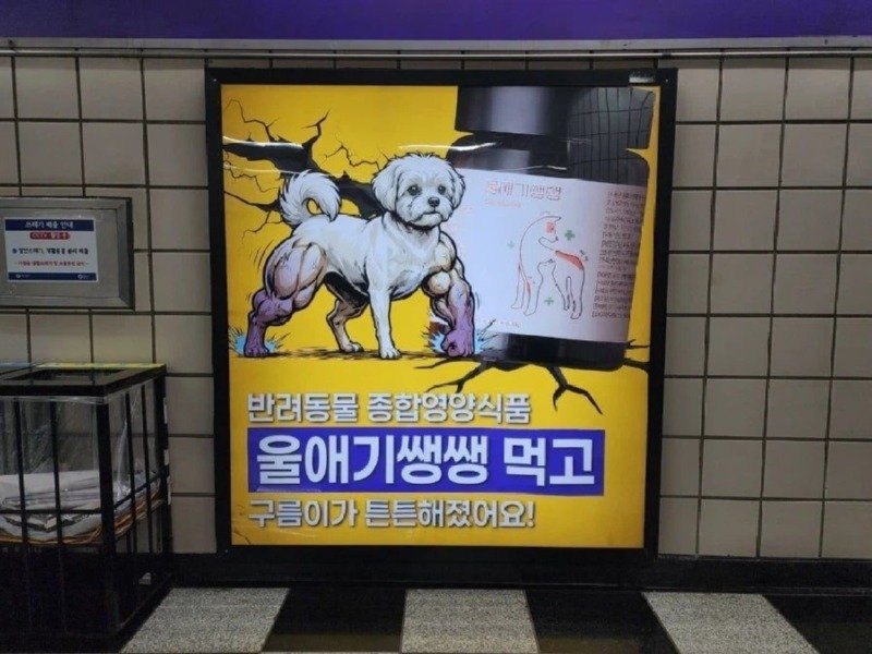 구름이가 튼튼해졌어요!