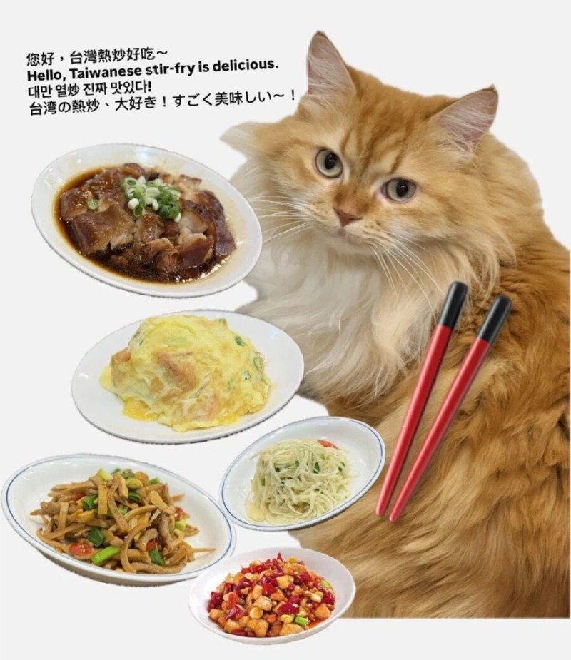 대만 여행 한다고 하면 댓글 달아주는 대만 사람들