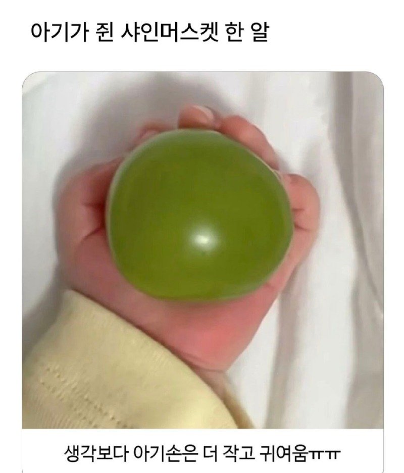 귀여운 거 몇 장 보고들 가쇼.