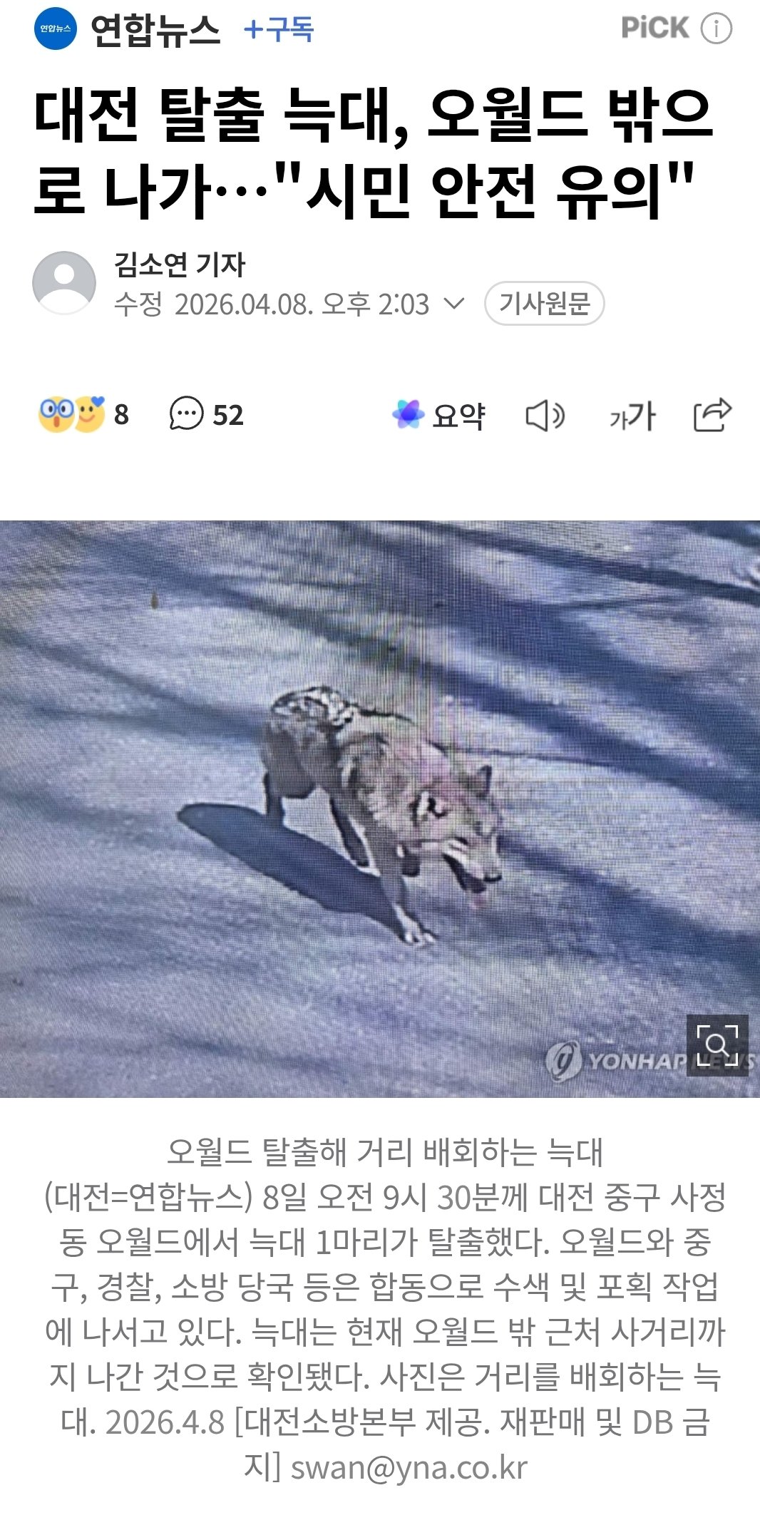 늑대와 대전