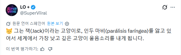 세계에서 가장 낮은 목소리를 내는 고양이 ㄷㄷ.mp4