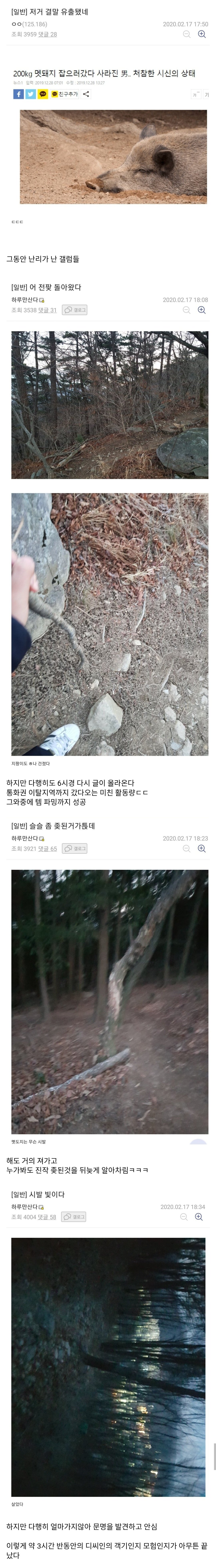 멧돼지 잡으러 산으로 간 디씨인