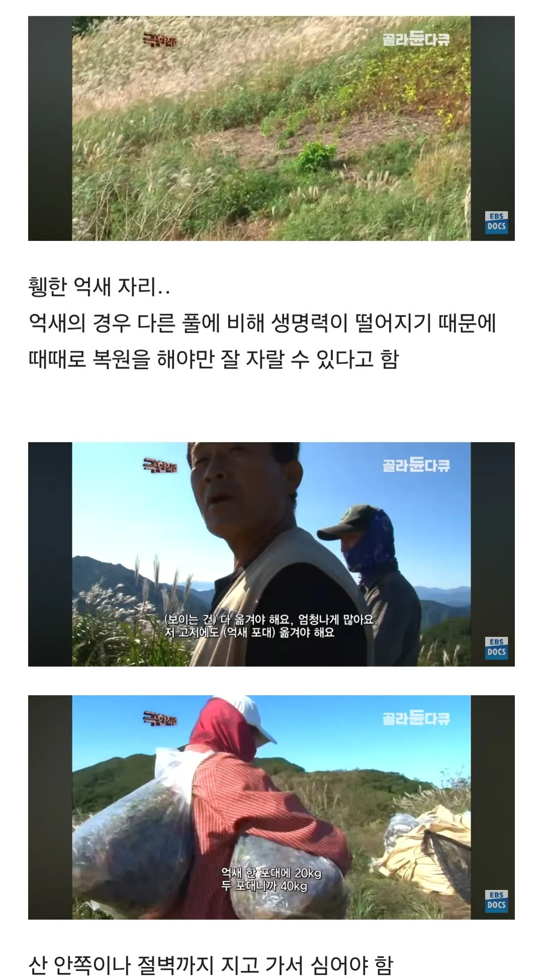 등산로가 만들어지는 과정