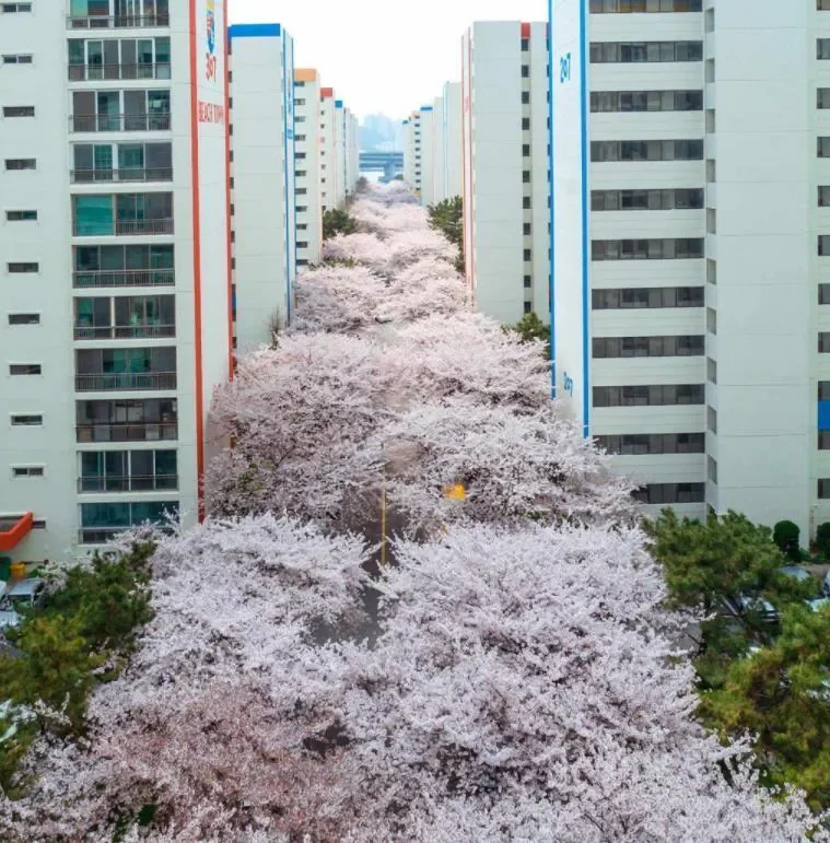 현재 한국서 가장 아름다운 아파트