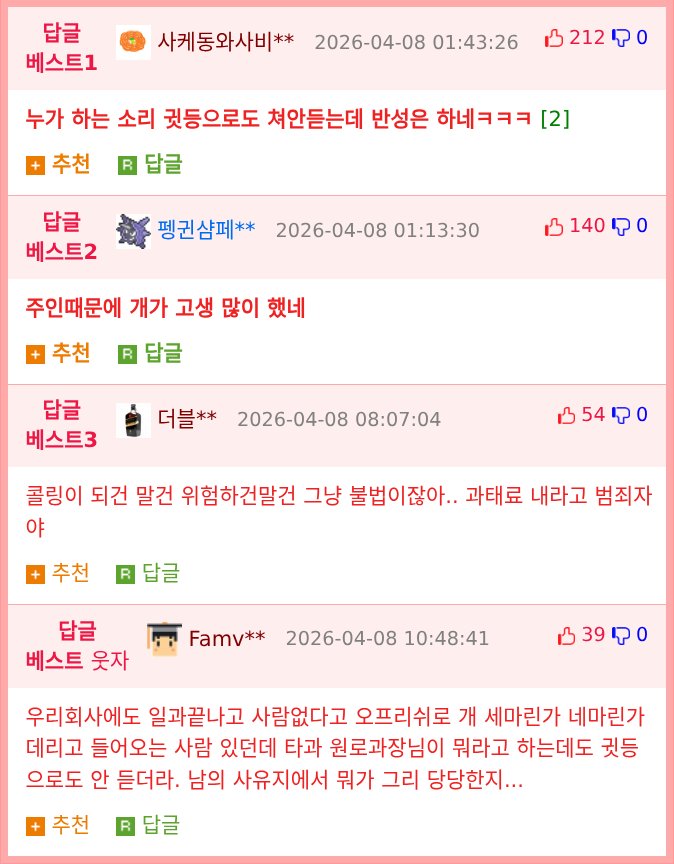 목줄 없이 개와 캠핑하던 유튜버