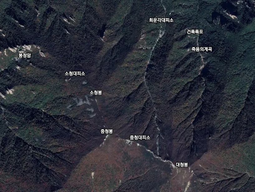 심심해서 써보는 신기한 사실들 10가지