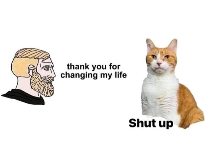 귀여운 거 몇 장 보고들 가쇼.