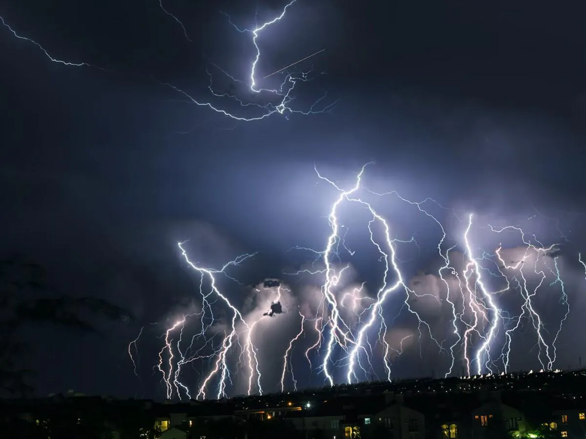 심심해서 써보는 신기한 사실들 10가지