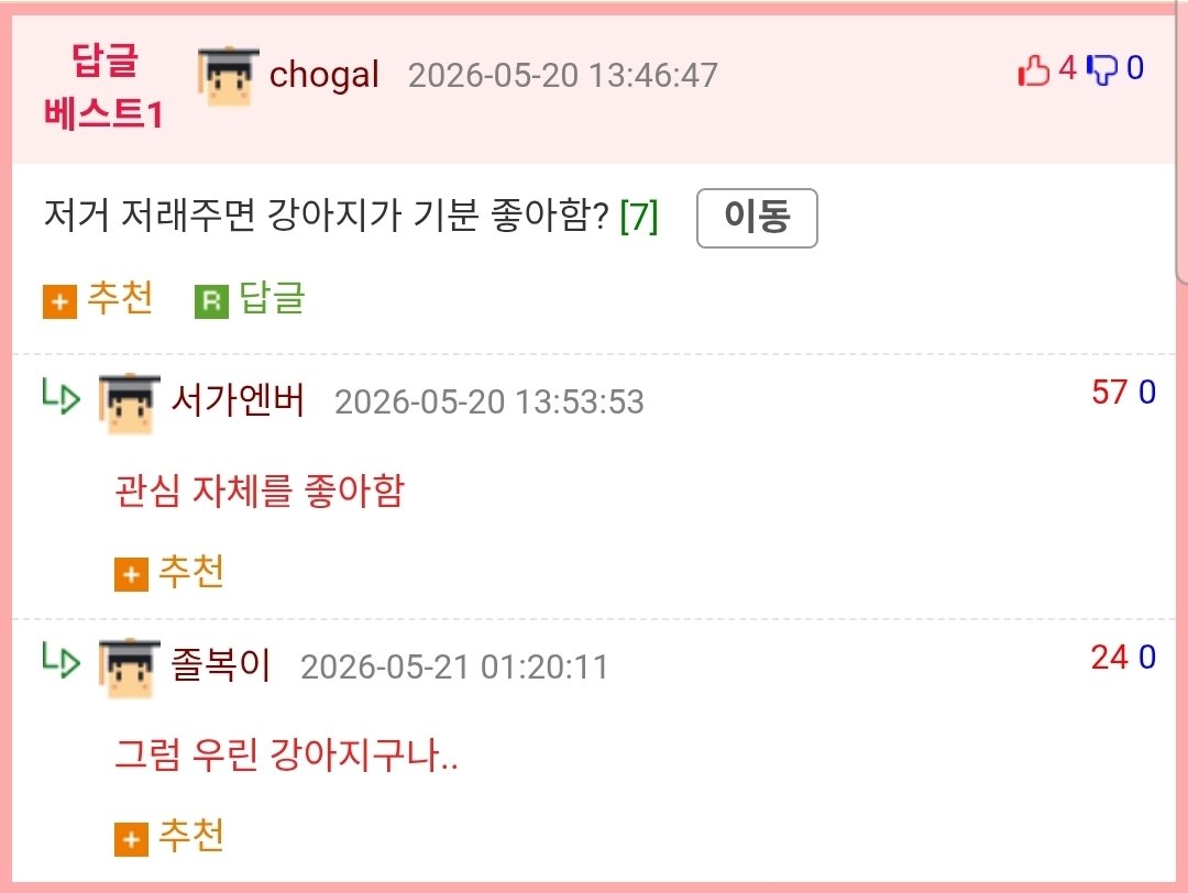 맘 상한 강아지 달래는 법