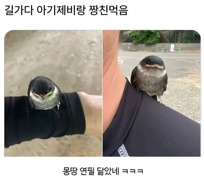 이 시기쯤 운좋으면 겪는다는 상황