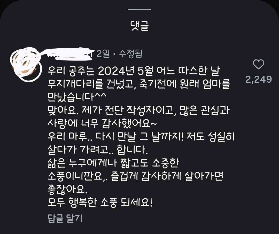 강아지 주인 찾는 전단지