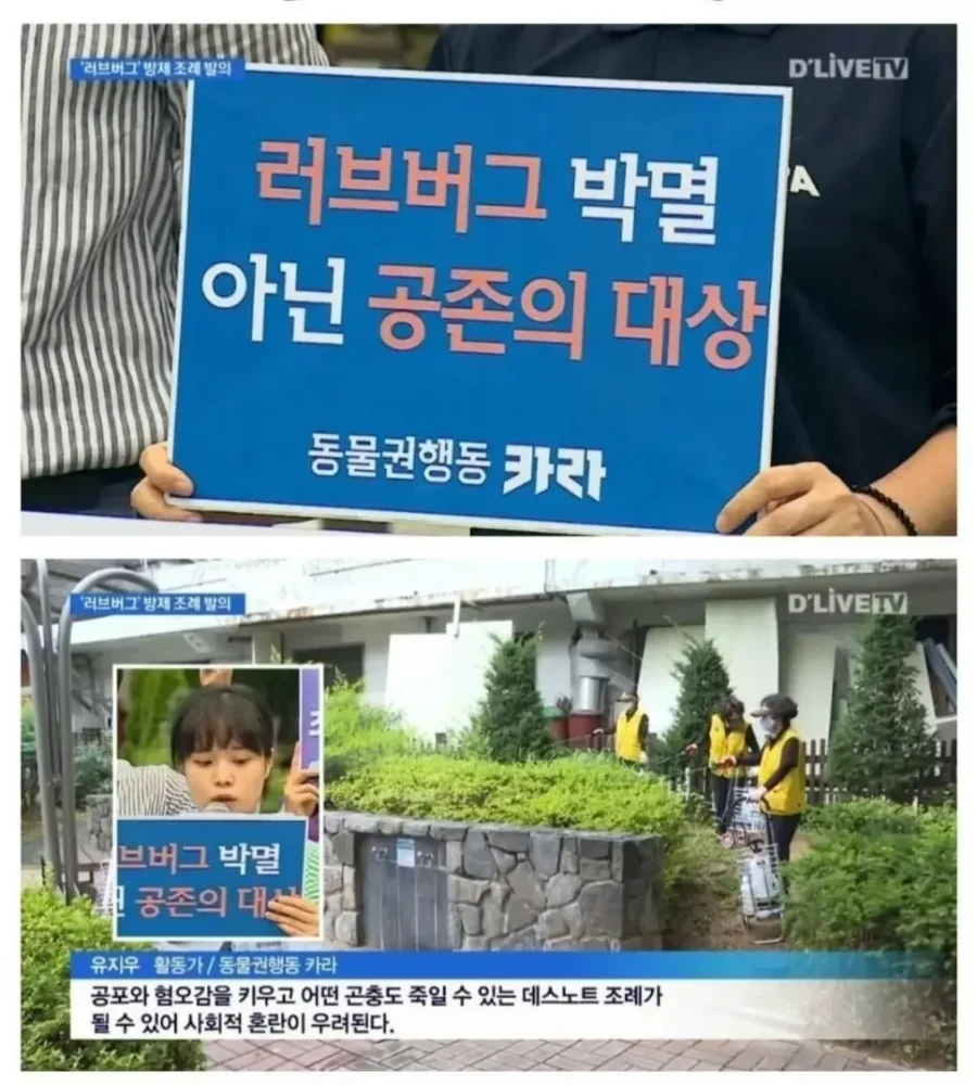 캣맘에 이어 