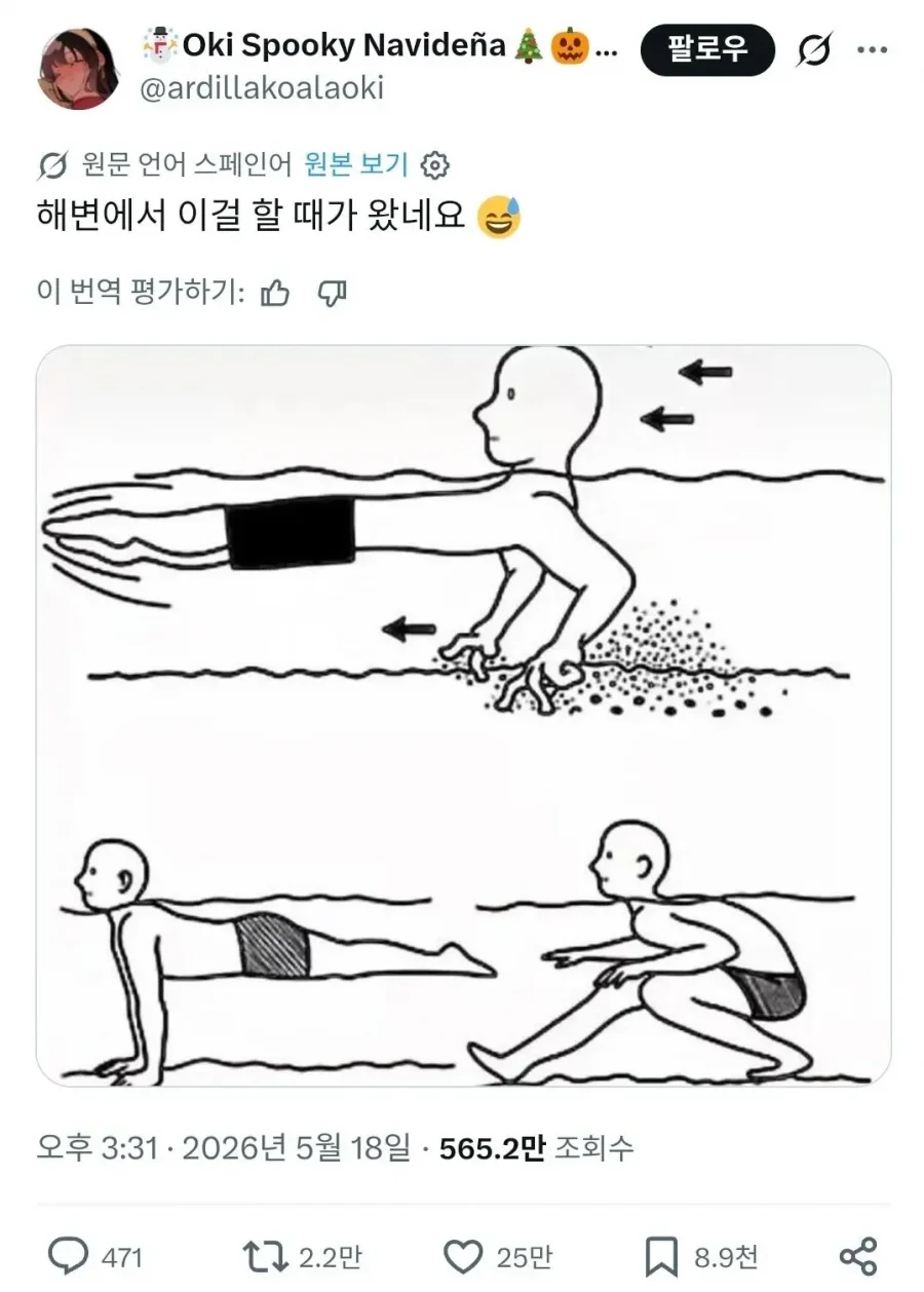 전 세계 물놀이 국룰