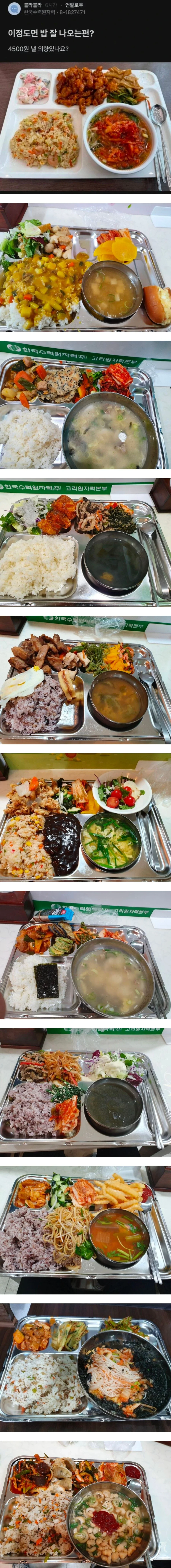 한국 수력 원자력 4500원짜리 점심 ㄷ