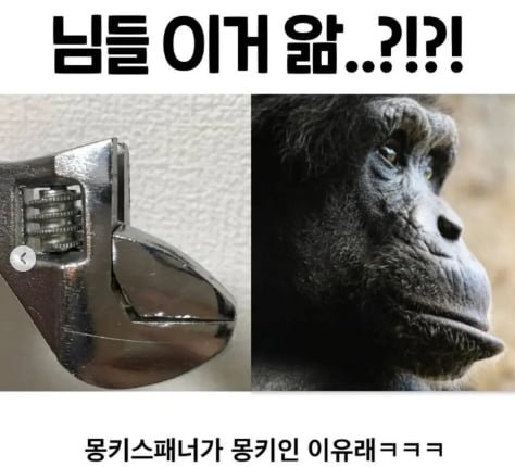 이거 진짠가?.