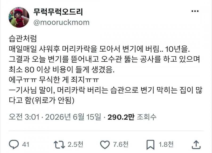 변기에 머리카락 버리면 안되는 이유