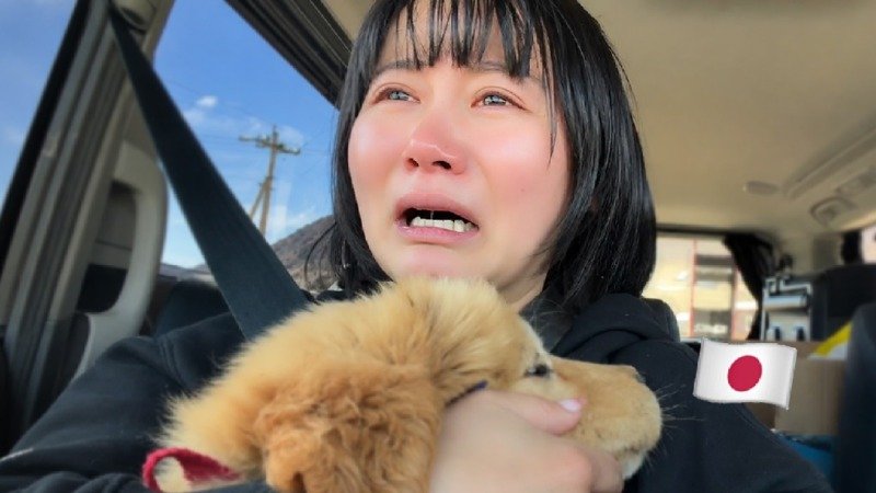 앙꼬 찾으러 갔는데 다른 몽골 강아지가 있어...