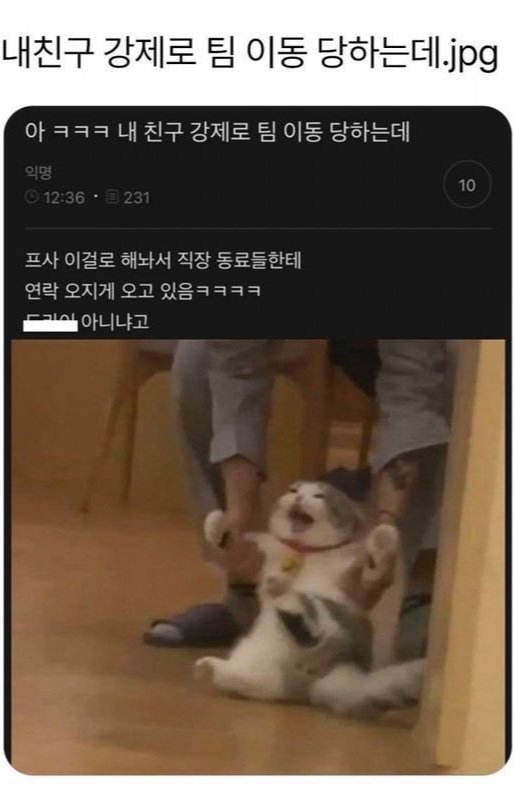 강제로 팀 이동당하는 사람 프사.jpg
