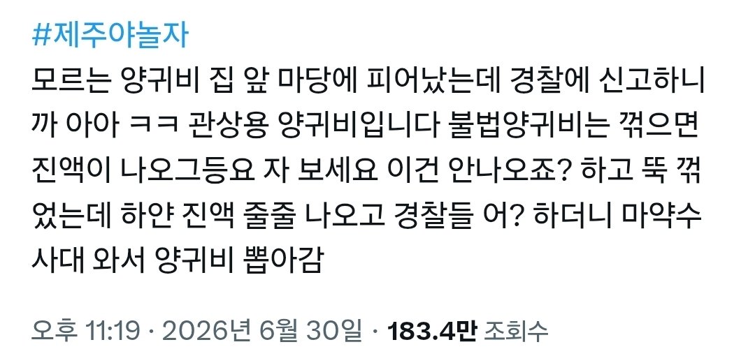 양귀비 집 앞 마당에 피어났는데 경찰에 신고하니까 아아 ㅋㅋ 관상용 양귀비입니다
