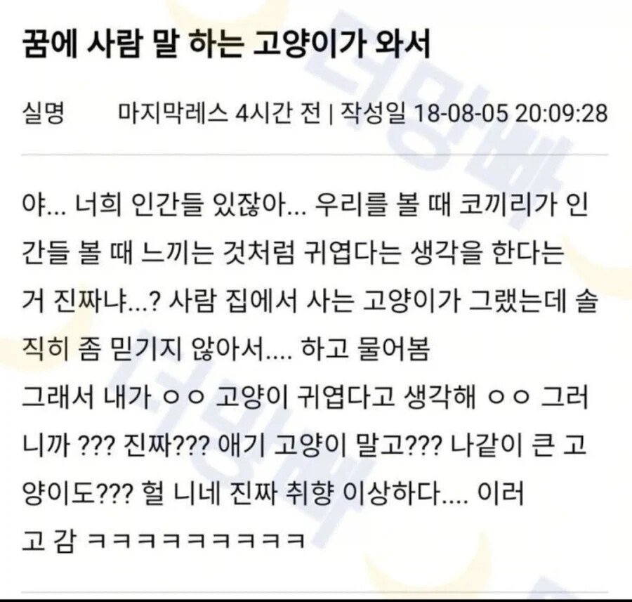 ㅇㅎ) 꿈에 사람 말 하는 고양이가 와서.jpg