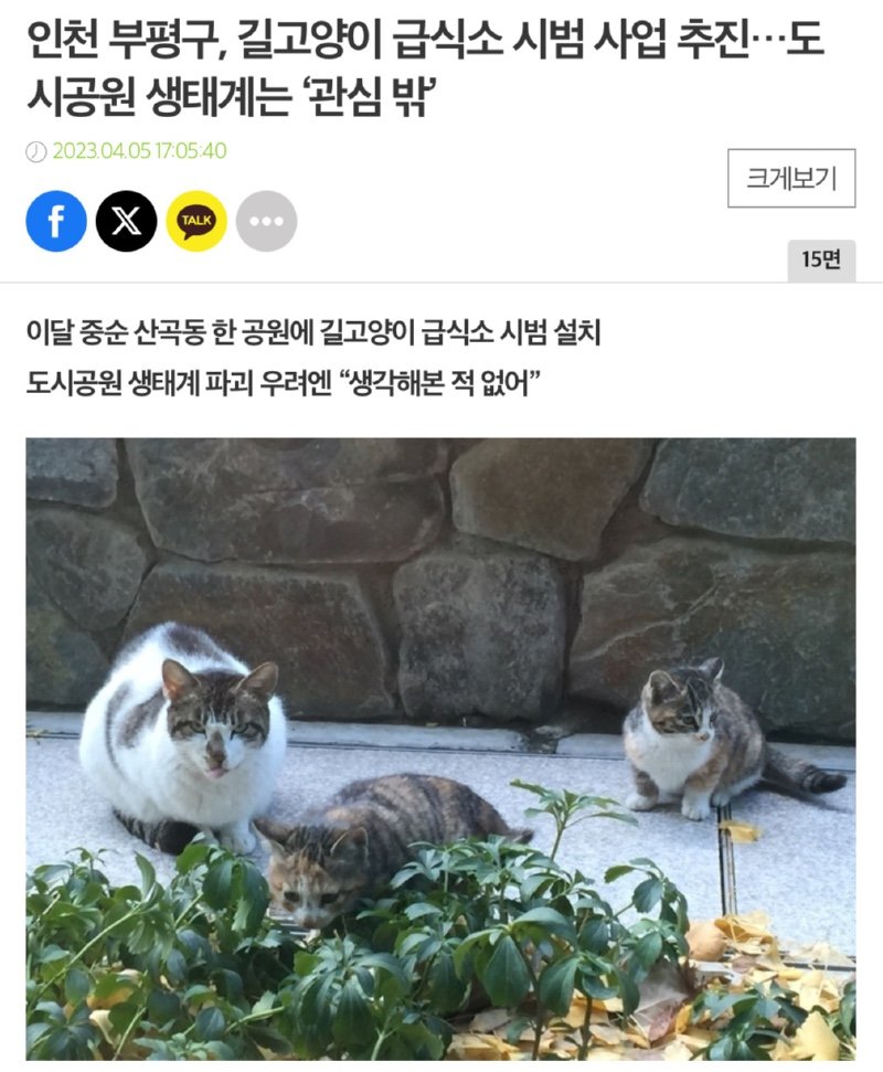 멸종위기 맹꽁이 서식지에 지자체가 벌인 일
