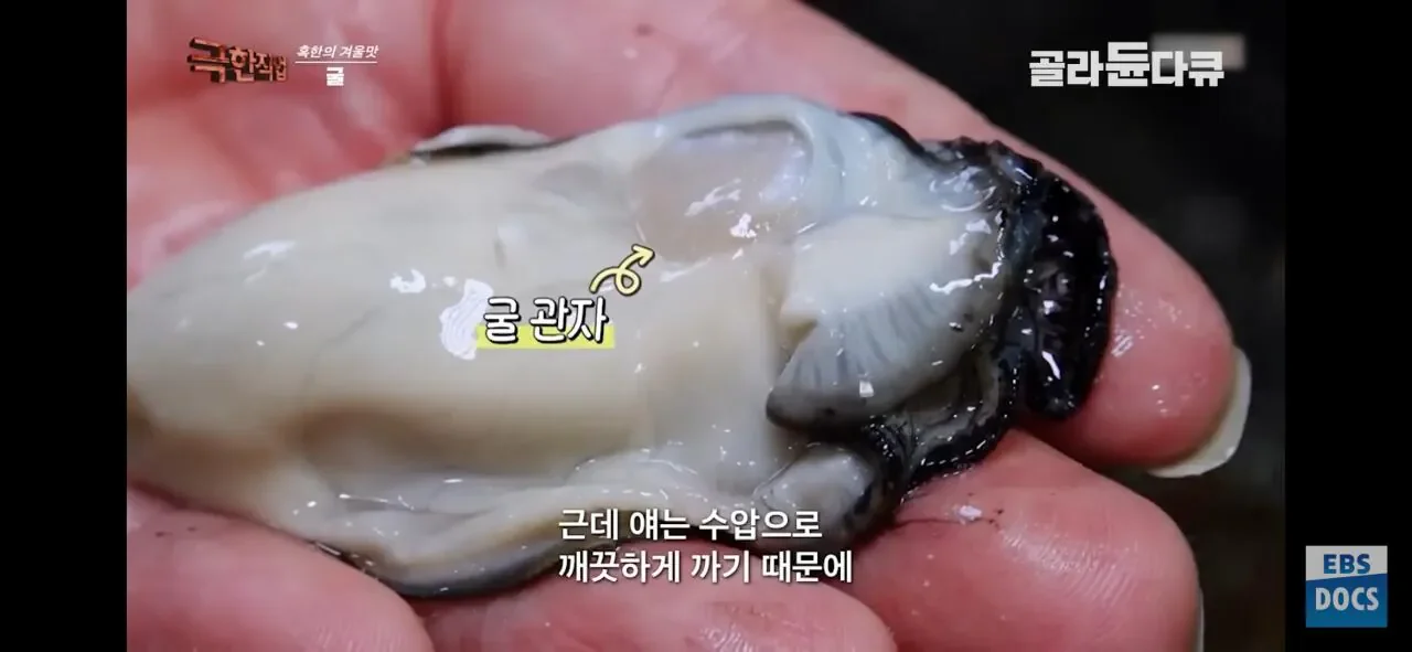 굴 까는것도 자동화 시대