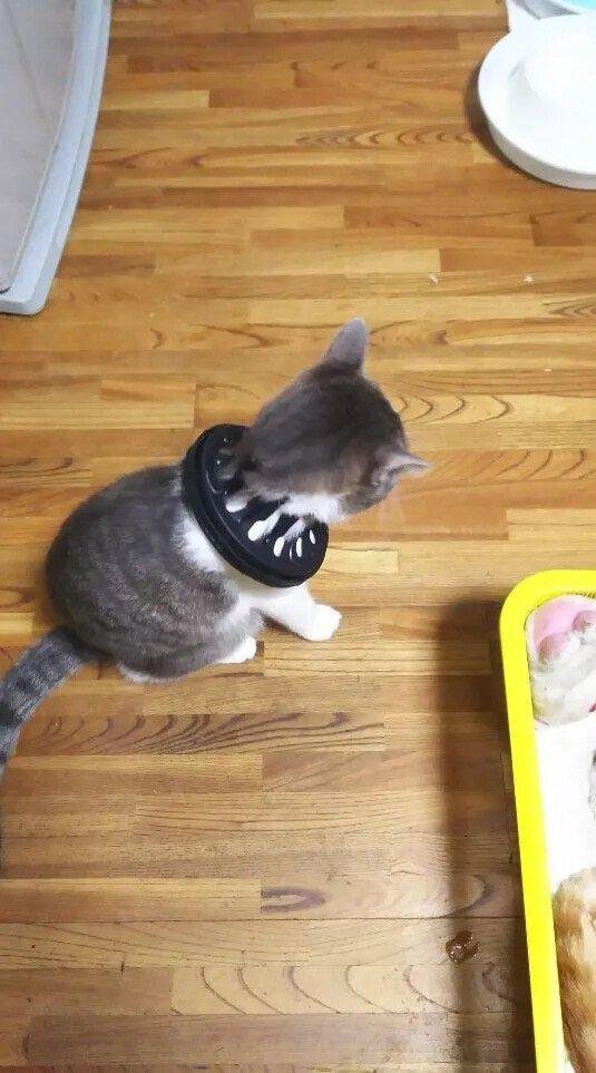 싱크대 마개가 없어졌다.jpg