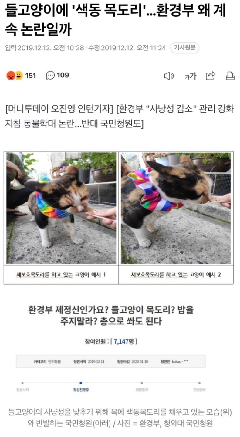 어쩌다 고양이 살처분론까지 나오게 됐을까? 진짜 범인을 알려드림