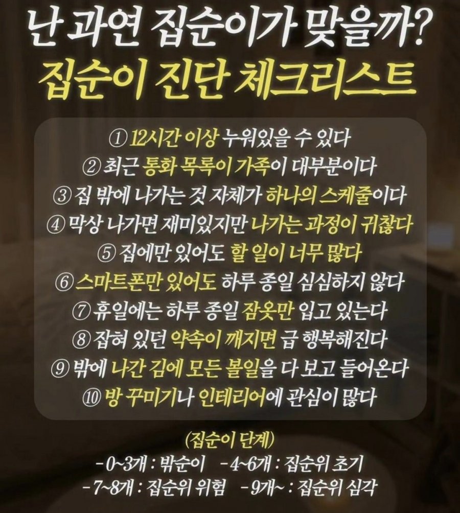집순이테스트