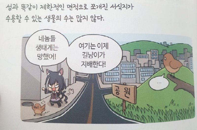 전국 최초로 캣맘 지원 조례를 만든 사람 근황