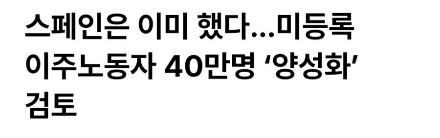정부, 불법체류자