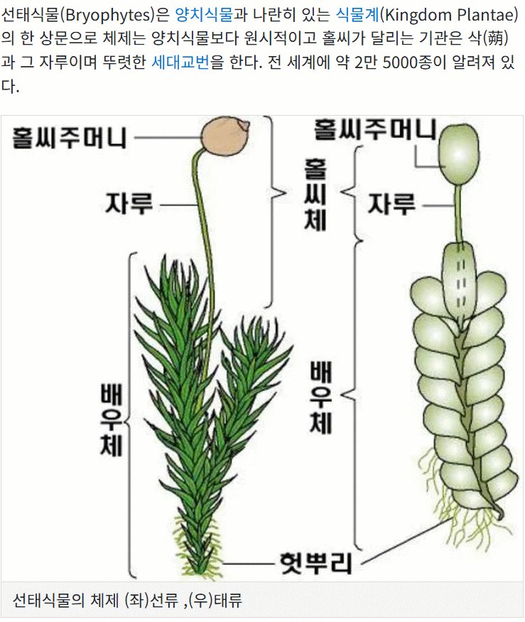 KBS 지상파 첫 단독프로그램 맡은 김선태 근황