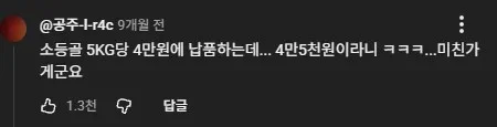 소 등골 가격