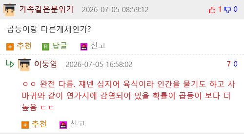 얘들아 러브버그 말고 더 혐오스러운거 다가온대;;