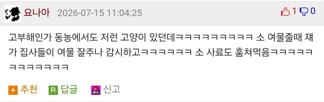우연히 목장으로 들어온 고양이